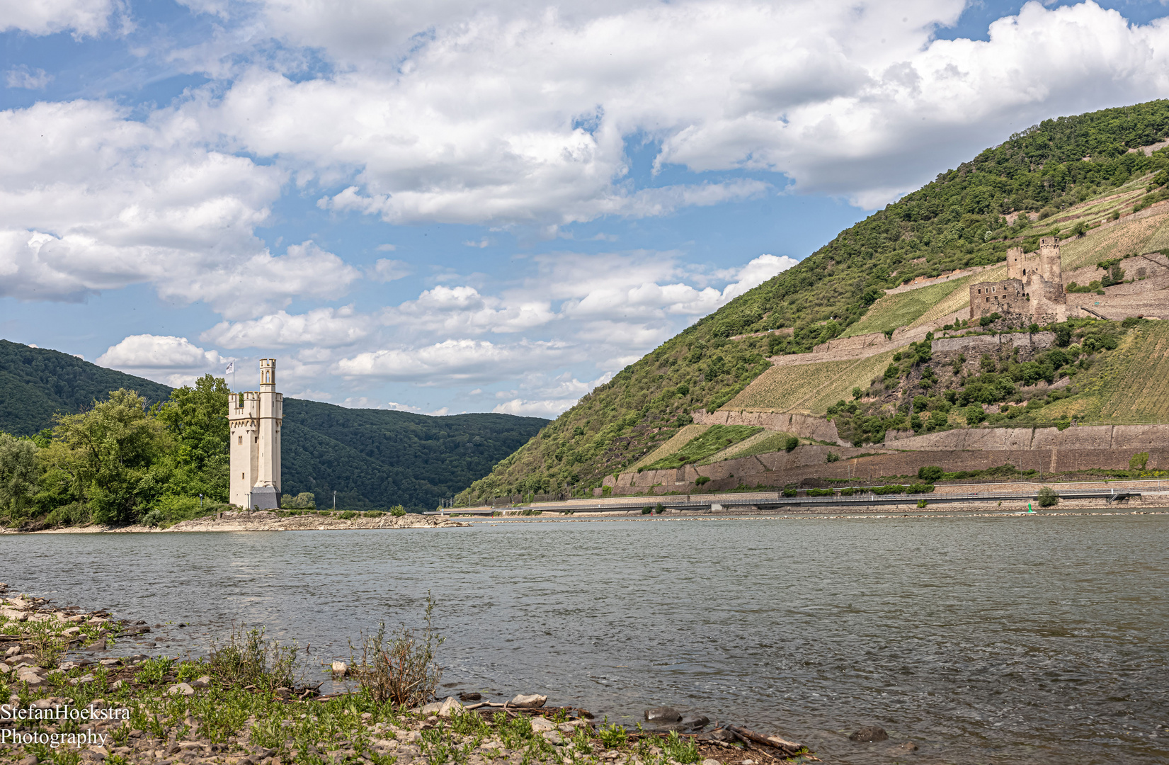 Bingen am Rhein 