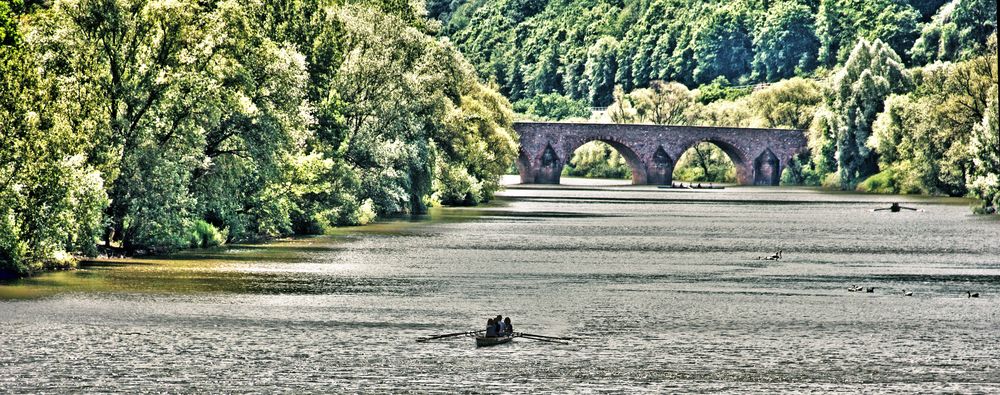 Bingen am Rhein