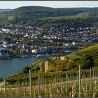 Bingen am Rhein...