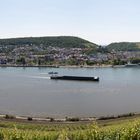 Bingen am Rhein