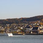 Bingen am Rhein (II)