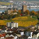 Bingen-Burg Klopp...