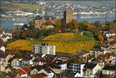 Bingen-Burg Klopp...