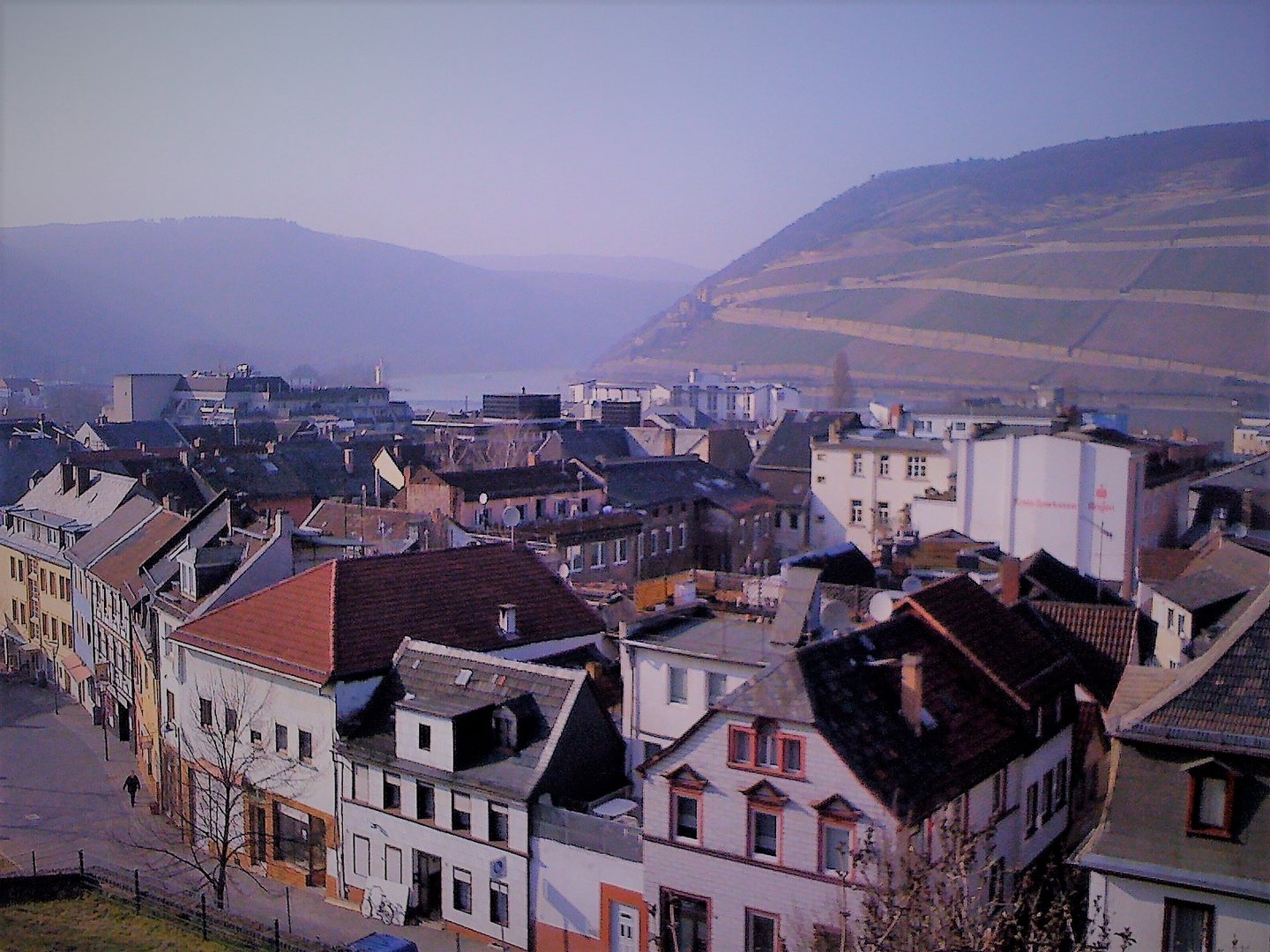 Bingen