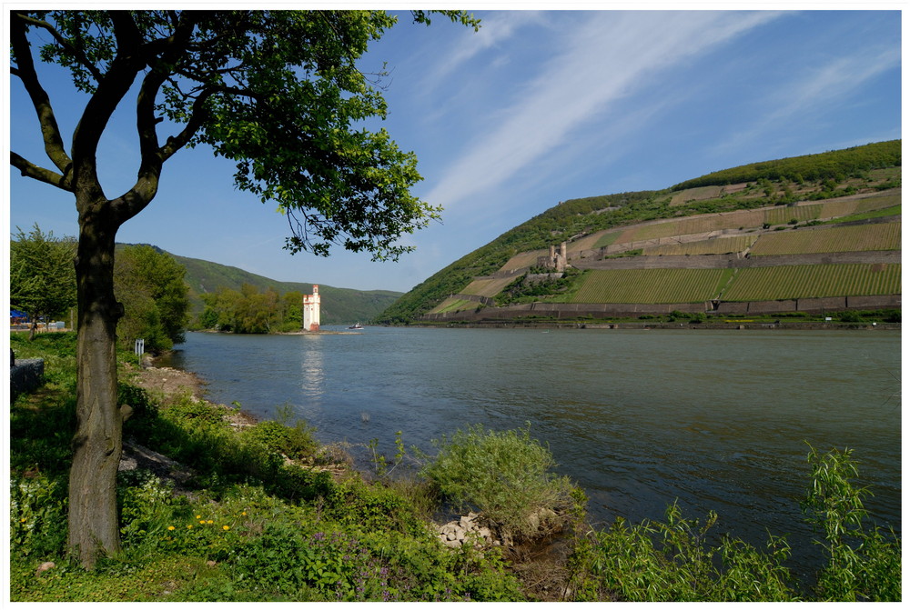 Bingen / Mäuseturm