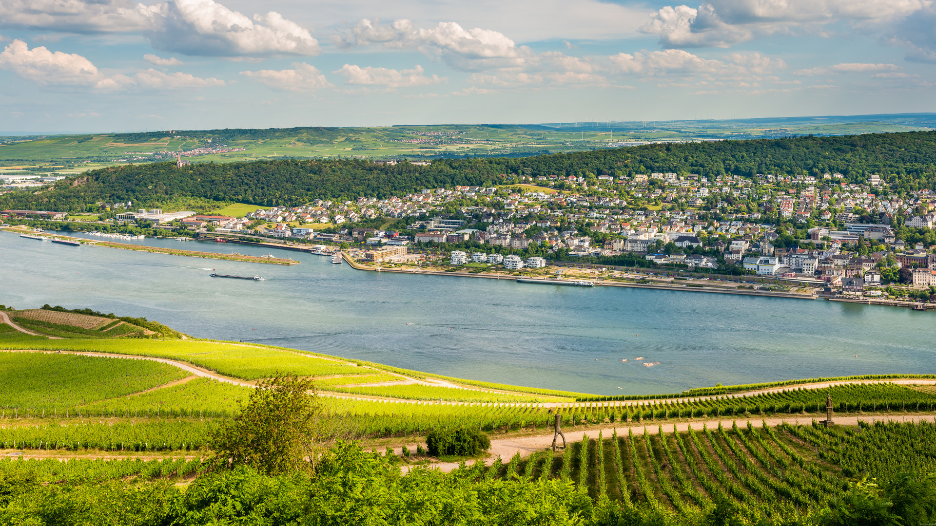 Bingen-Rochusberg 12