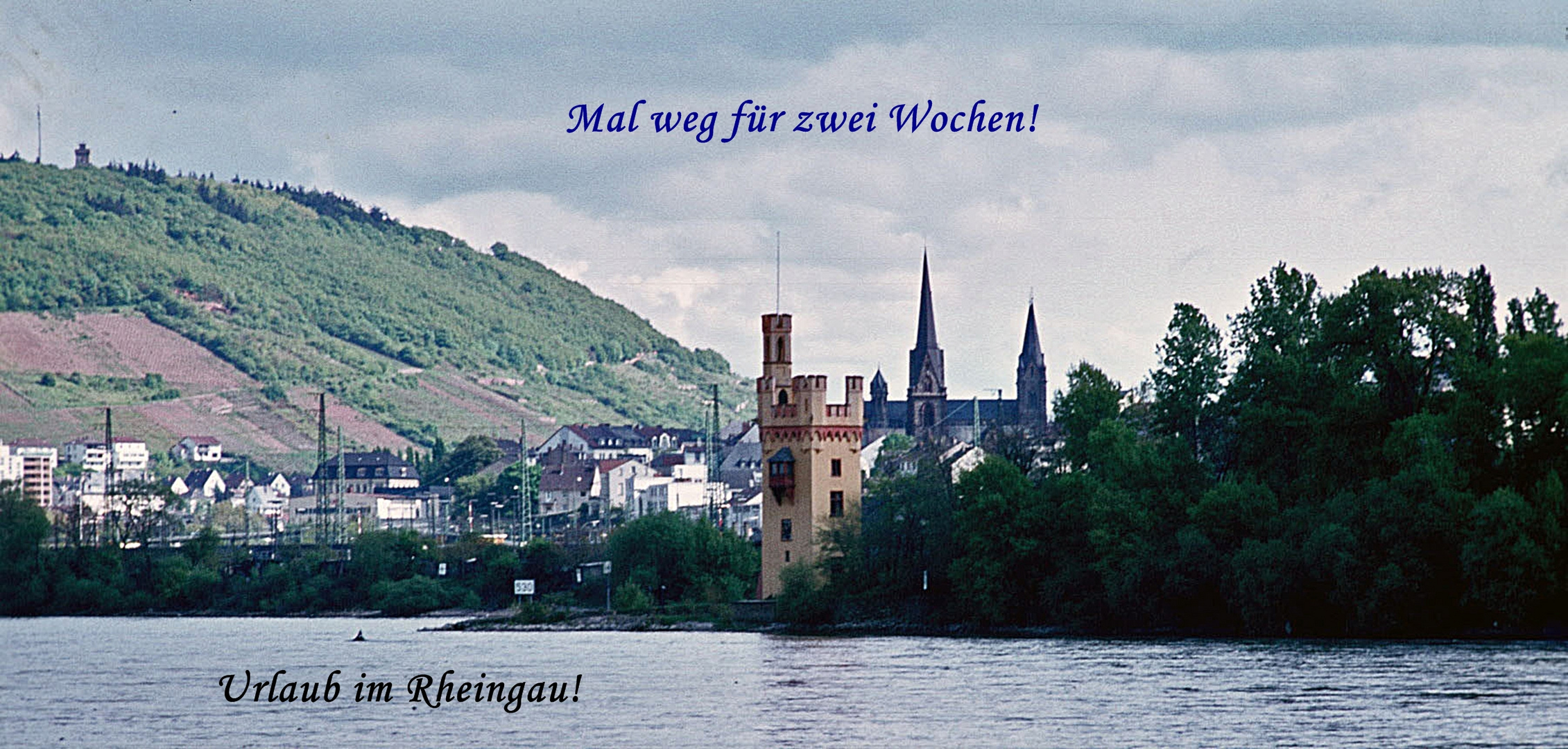 Bingen und Mäuseturm