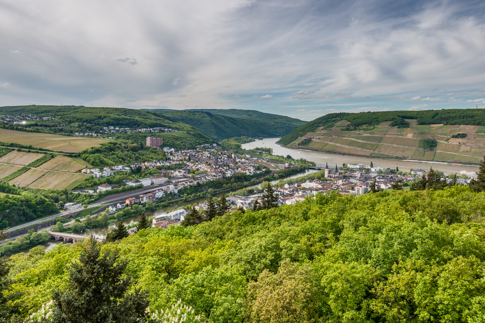 Bingen vom Rochusbergturm 4