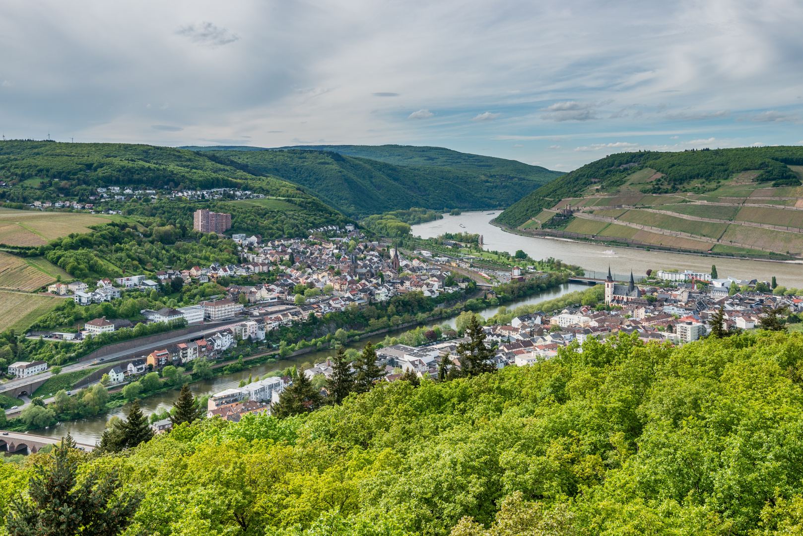 Bingen vom Rochusbergturm 7