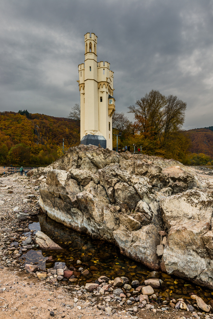 Binger Mäuseturm bei Niedrigwasser 26