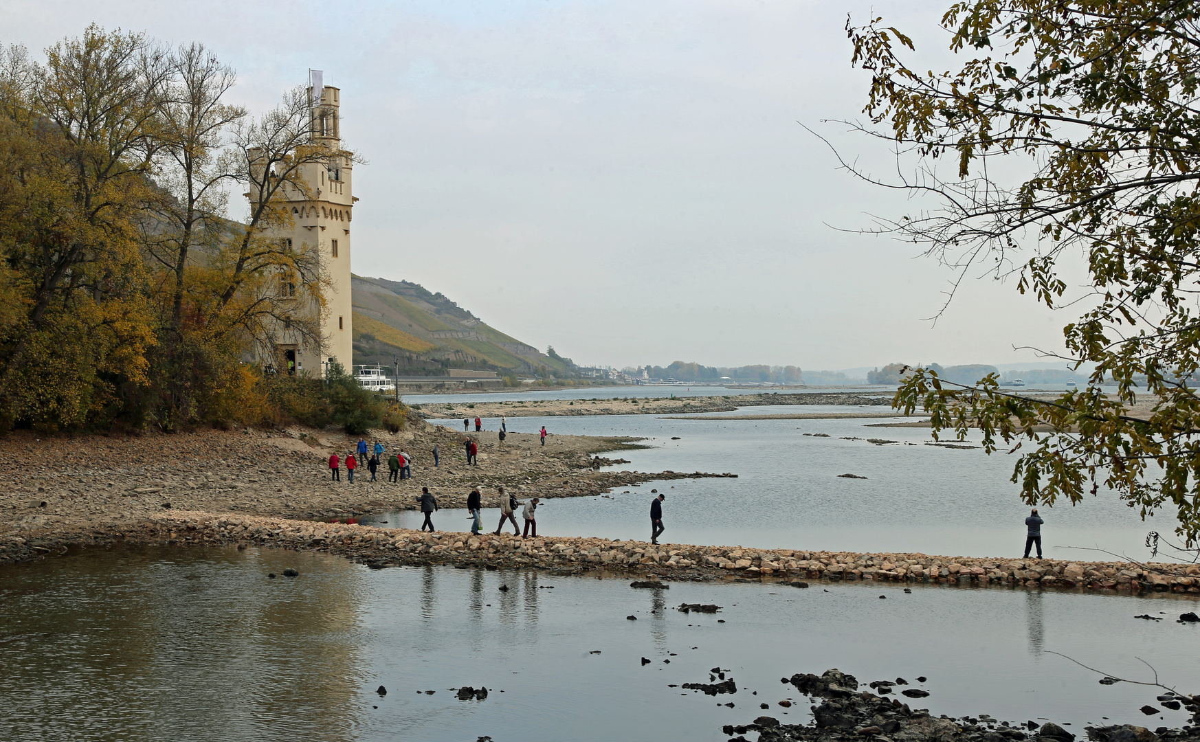 Binger Mäuseturm -Rhein- -1-