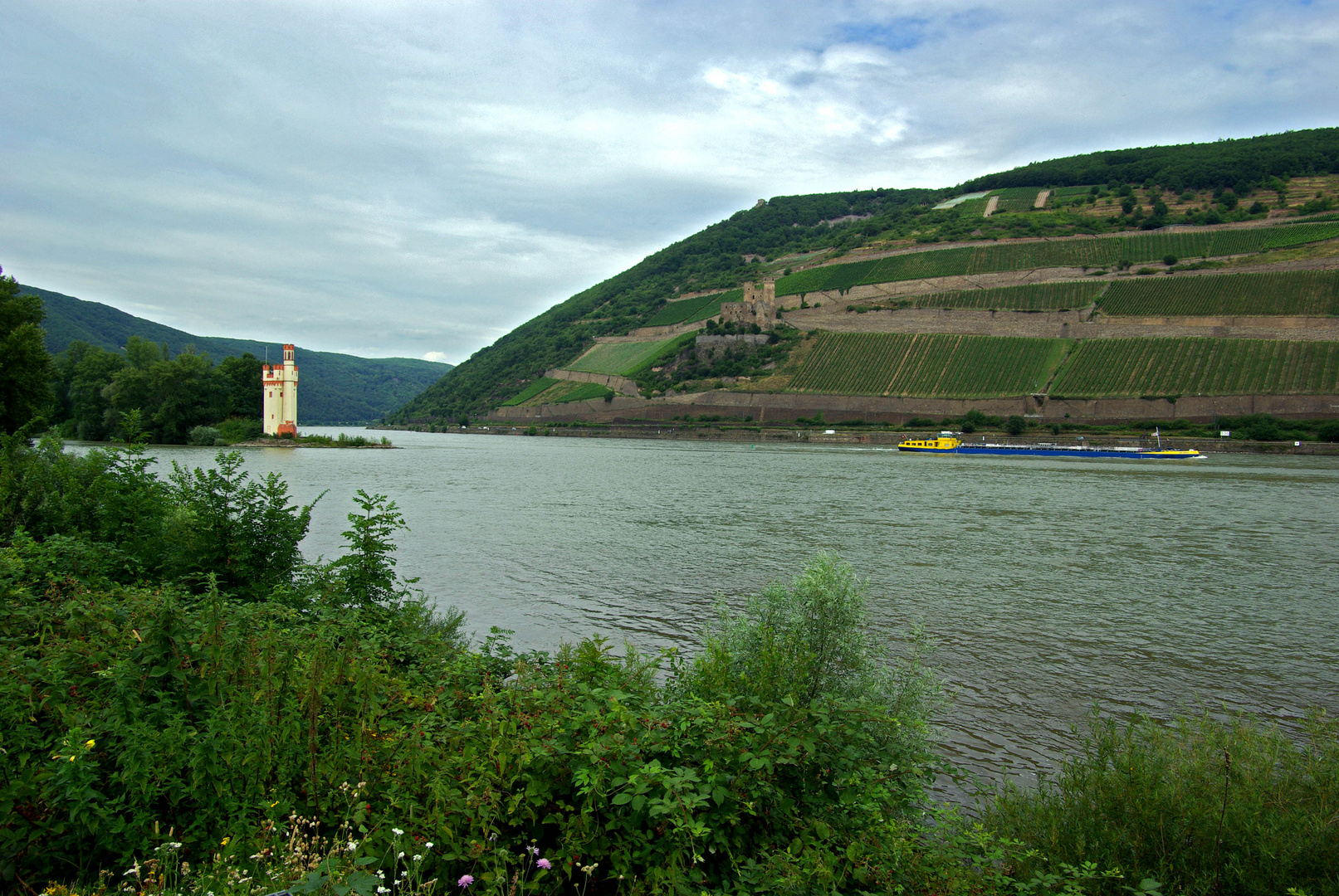 Binger Mäuseturm und Burgruine Ehrenfels (Rhein)