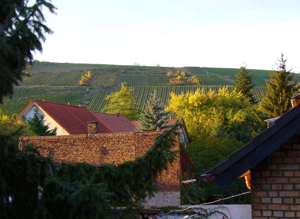 Binger Rochusberg bei schönem Wetter