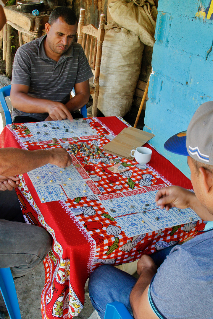 Bingo mit Maiskörnern und Steinchen