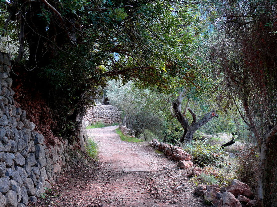 Biniaraix / NW-Mallorca - ein geruhsamer Spaziergang....