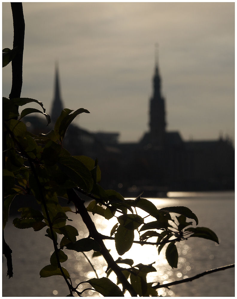 Binnenalster