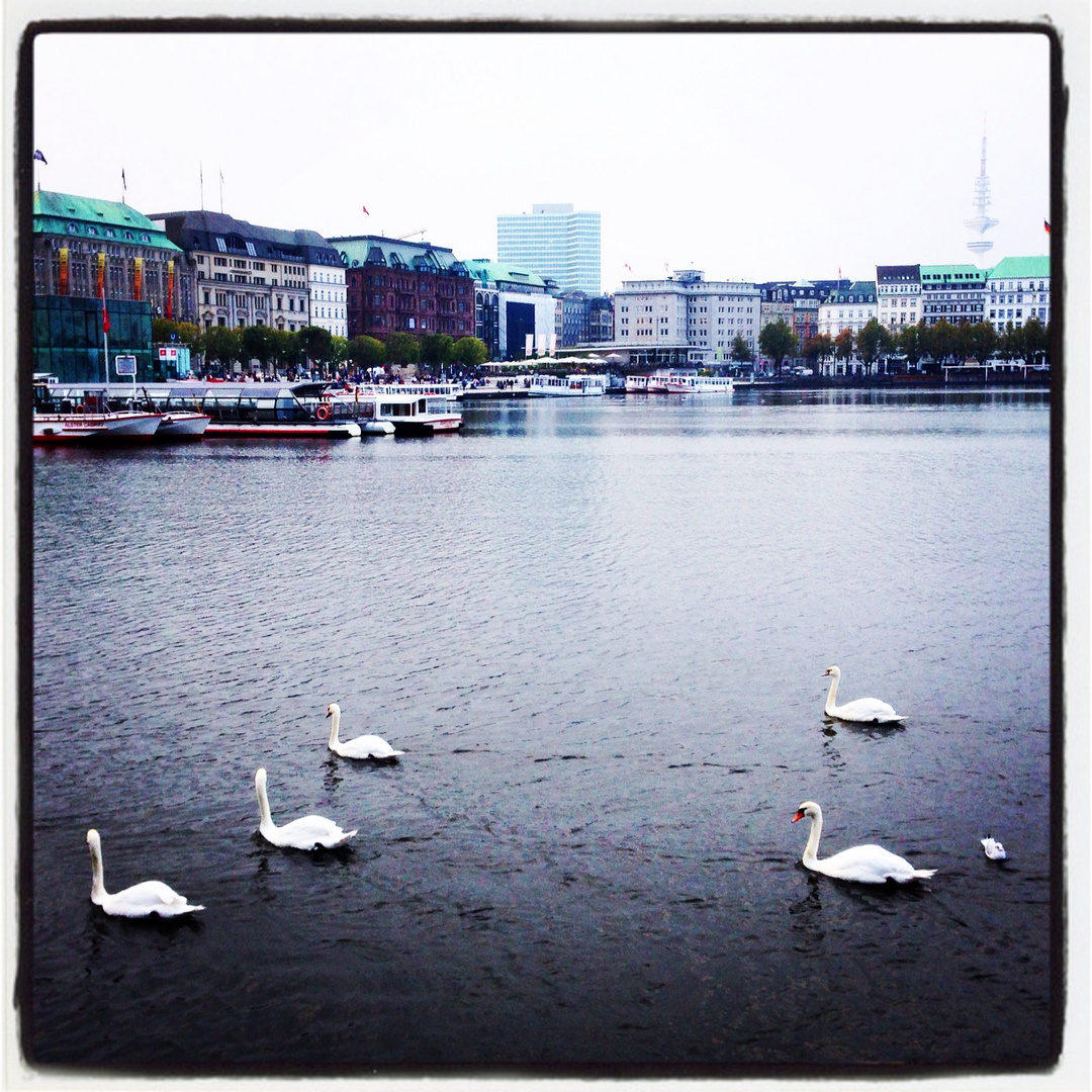 Binnenalster Hamburg 