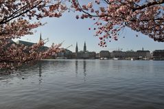 Binnenalster im Frühling