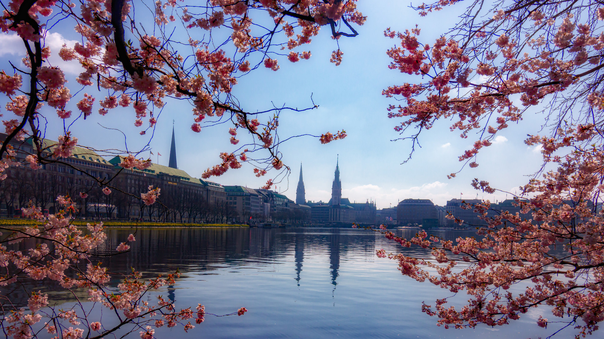 Binnenalster Kirchblüte