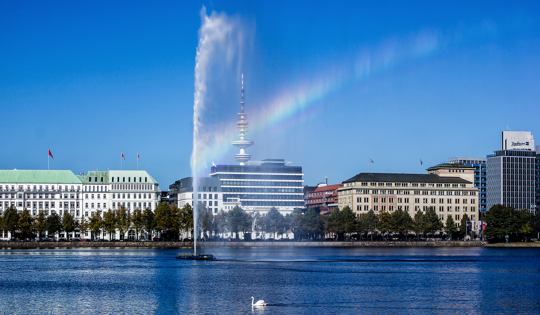 Binnenalster mit Schwan und Fontaine