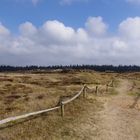 Binnendünen Vor Cumulus