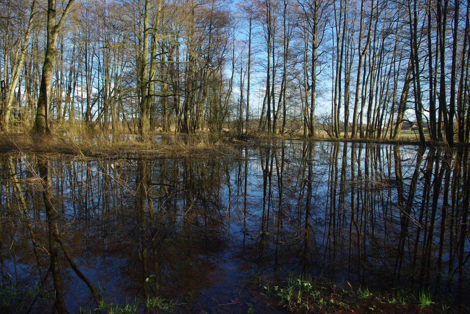 Binnenhochwasser - Dienstag ist Spiegeltag