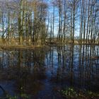 Binnenhochwasser - Dienstag ist Spiegeltag