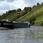 Binnenschiffer auf dem Neckar bei Stuttgart