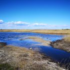 Binnensee im Sonnenschein 