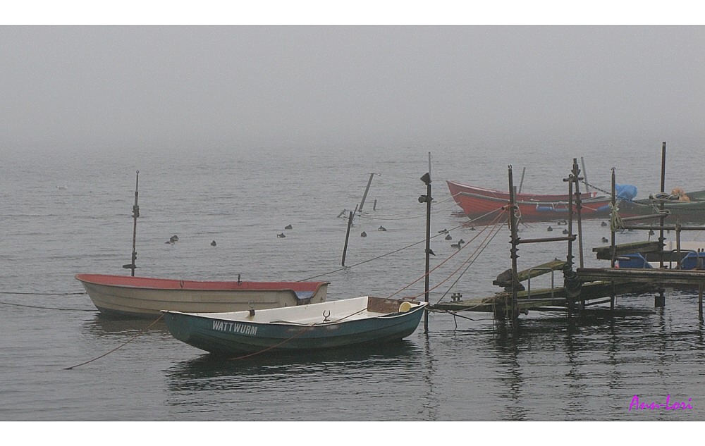 Binnenwasser im Nebel