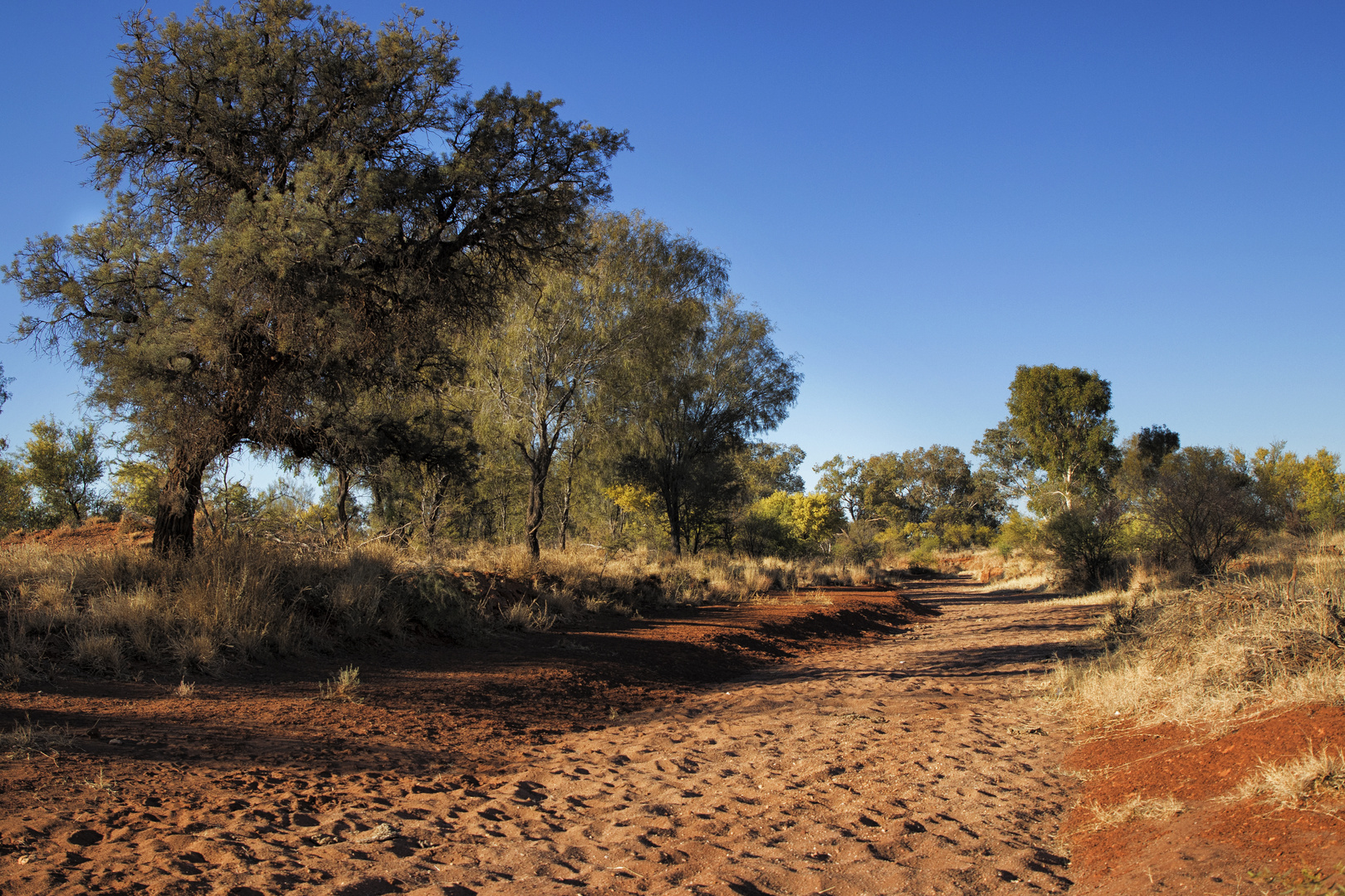 Binns Track