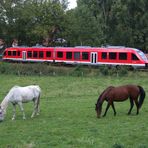 Binolen im Hönnetal , VT 648   ( 856 PS )  und  Zwei  Pferdchen beim grasen........!