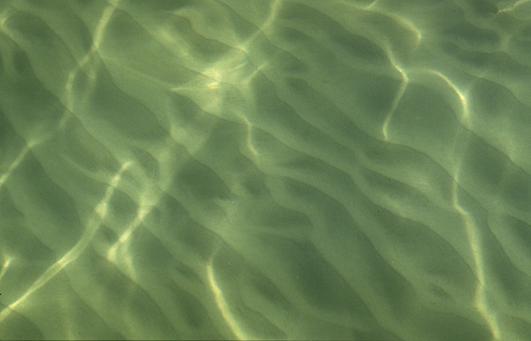 binz auf rügen