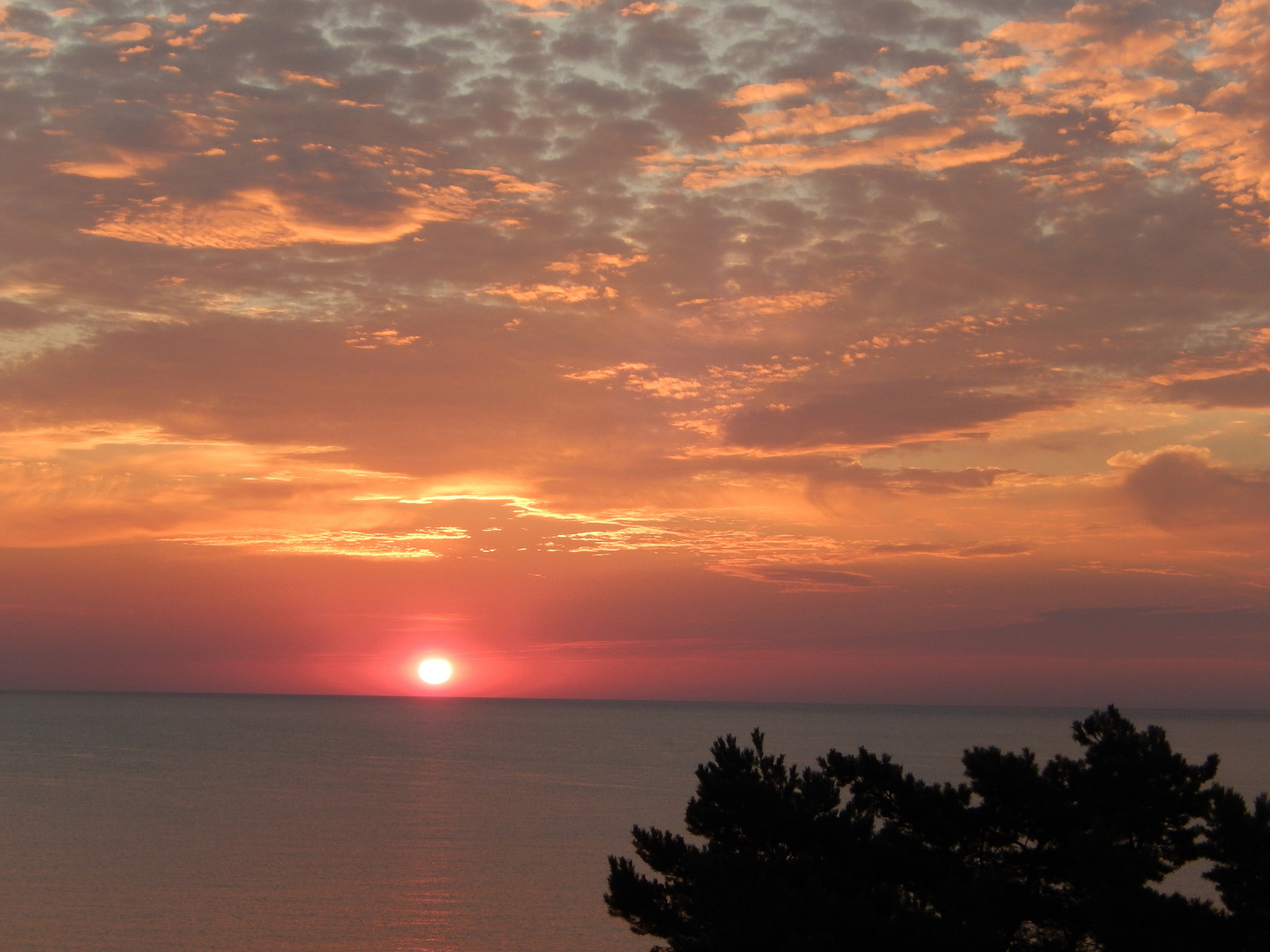 Binz Rügen 2013