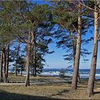 Binz Strandszene (2)