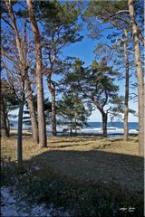 Binz Strandszene (3)