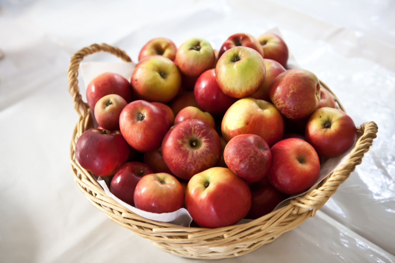 Bio-Äpfel Foto &amp; Bild | stillleben, food-fotografie, obst &amp; gemüse ...