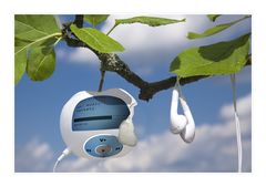 Bio MP3-Player