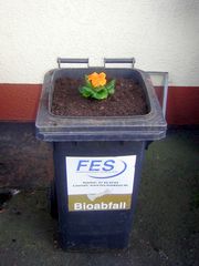 Bio Müll Blume im Eimer