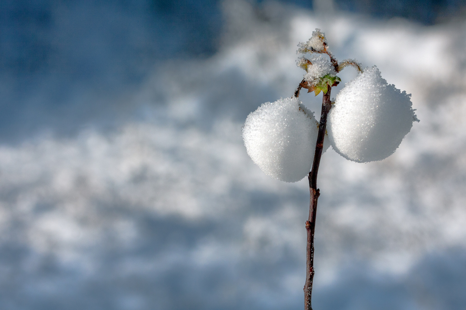 Bio Weihnachtskugeln