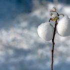 Bio Weihnachtskugeln