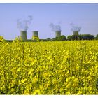 Biodiesel oder Atomkraft