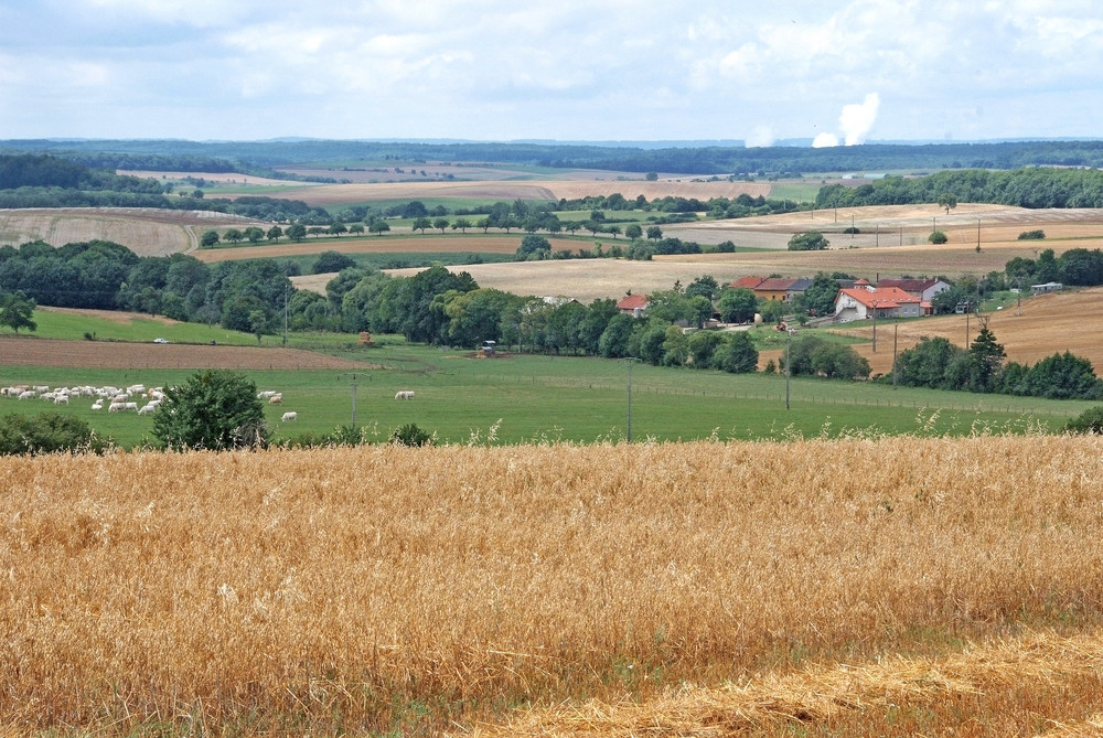 Biodiesel oder Atomkraft