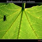 Biodiversidad en colores