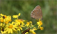 Biodiversität