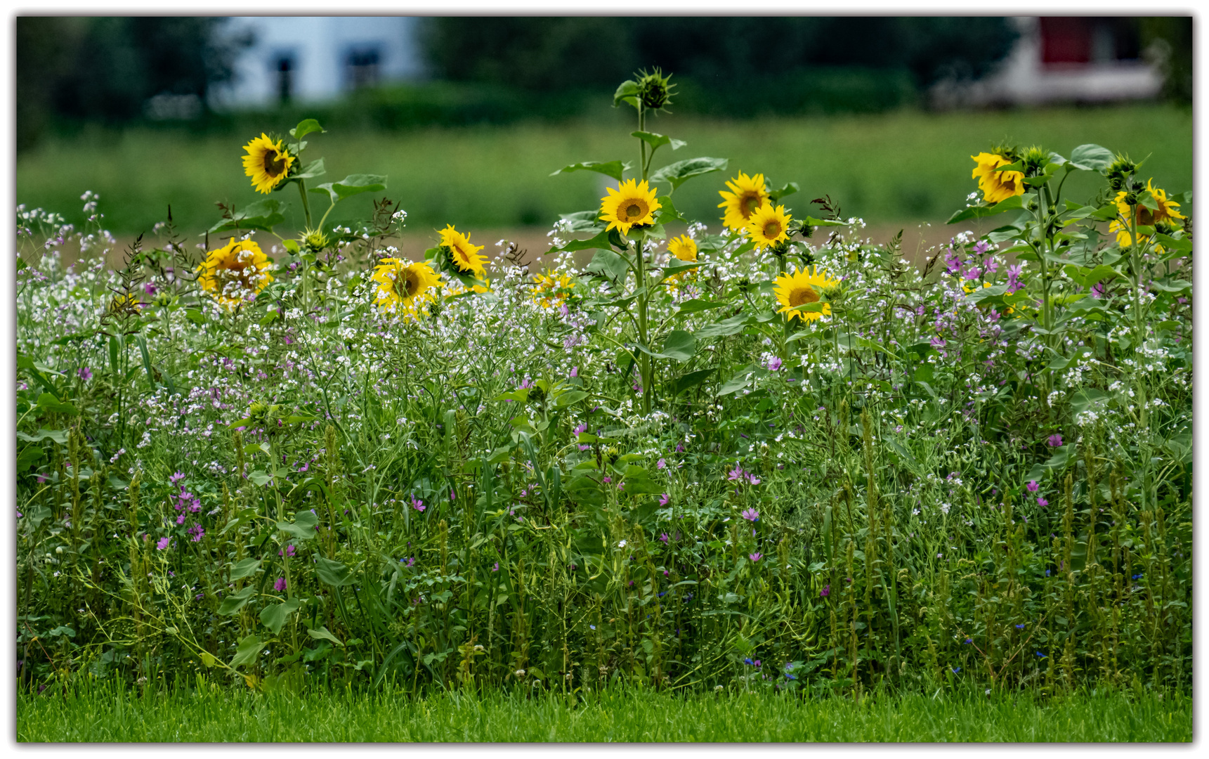 Biodiversität 