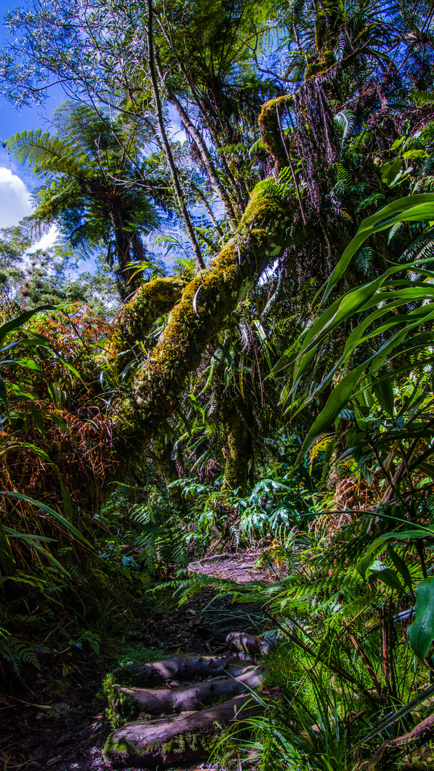 biodiversité