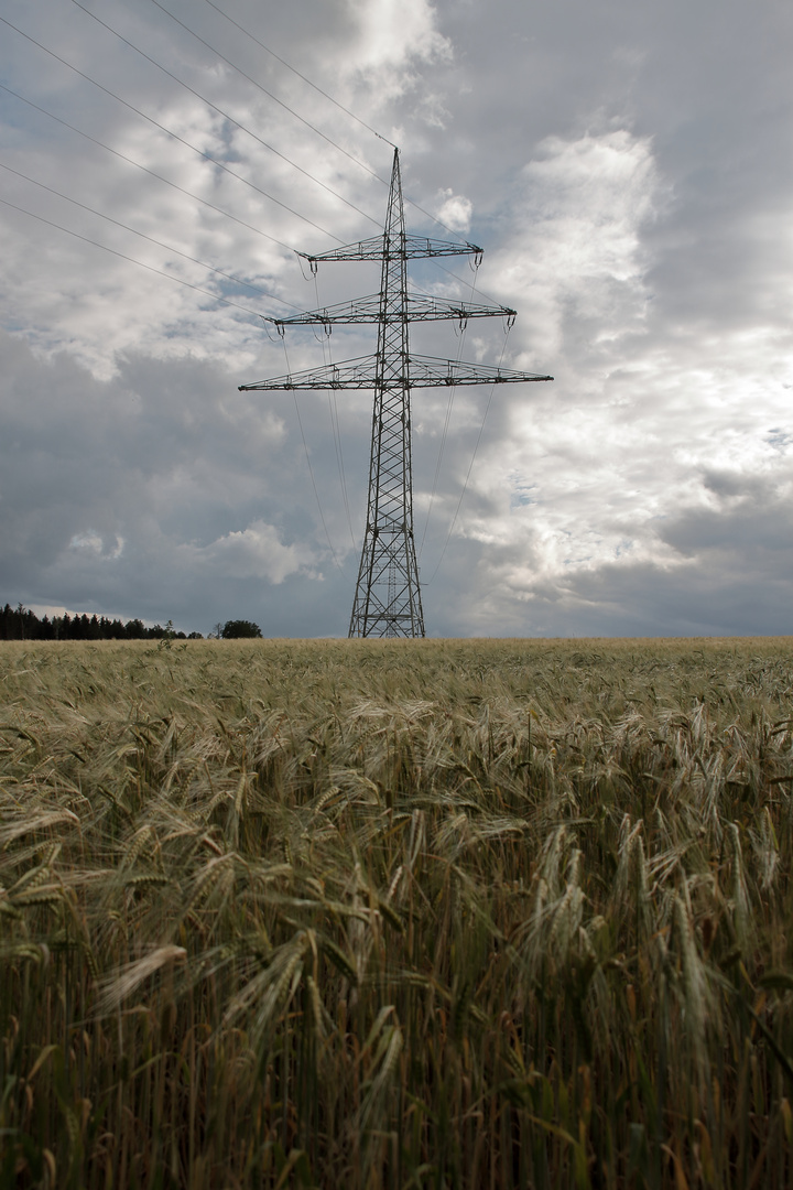 "Bioenergie"