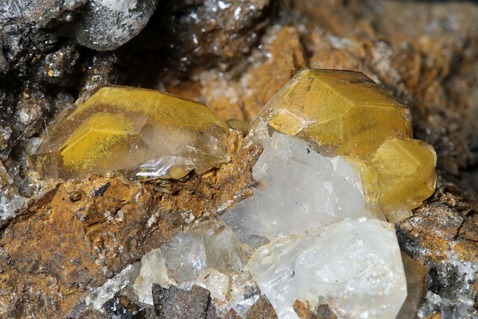 Biogenes Innenleben in Bergkristall - Fossile Bakterienstrukturen