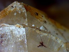 Biogenes Innenleben in Bergkristall - Fossile Bakterienstrukturen